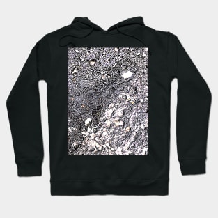 Earth Form Hoodie